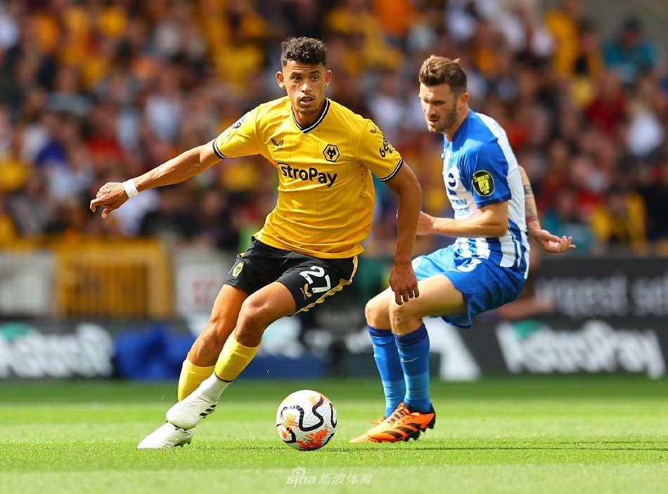 只想入选意 只想入选意