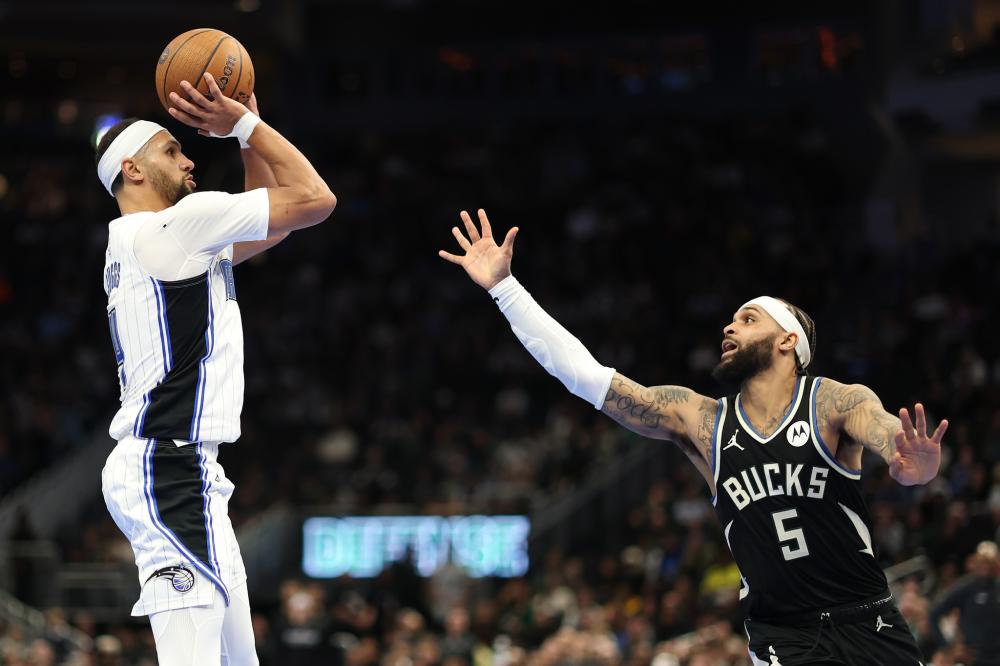 鹈鹕在今年 鹈鹕在今年